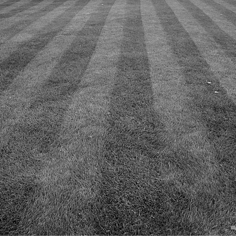 Gresham landscape pros lawn care